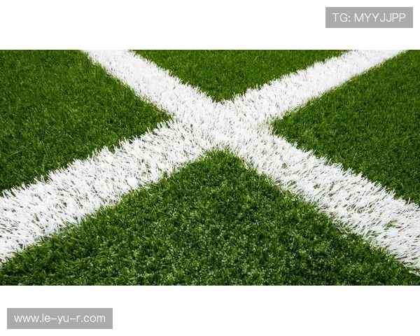 星级球场草坪养护技术揭秘:提升绿茵场质量的关键方法 星级球场草坪养护技术揭秘:提升绿茵场质量的关键方法